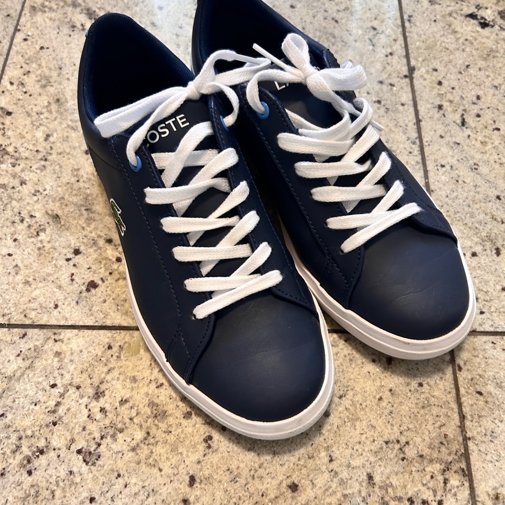 Lacoste Dark Blue and Light Blue Casual Shoes
